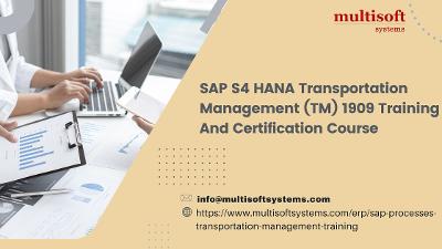 SAP S4 HANA Transportation Management (TM) 1909 Training And Certification Course
